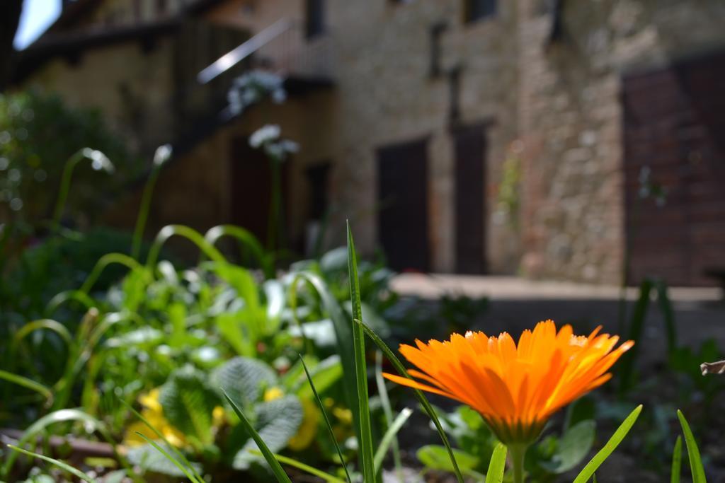 Agriturismo Nestore Экстерьер фото